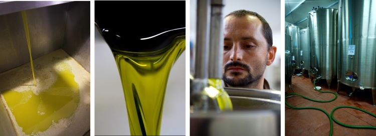 Decanted filtered olive oil is stored in tanks
